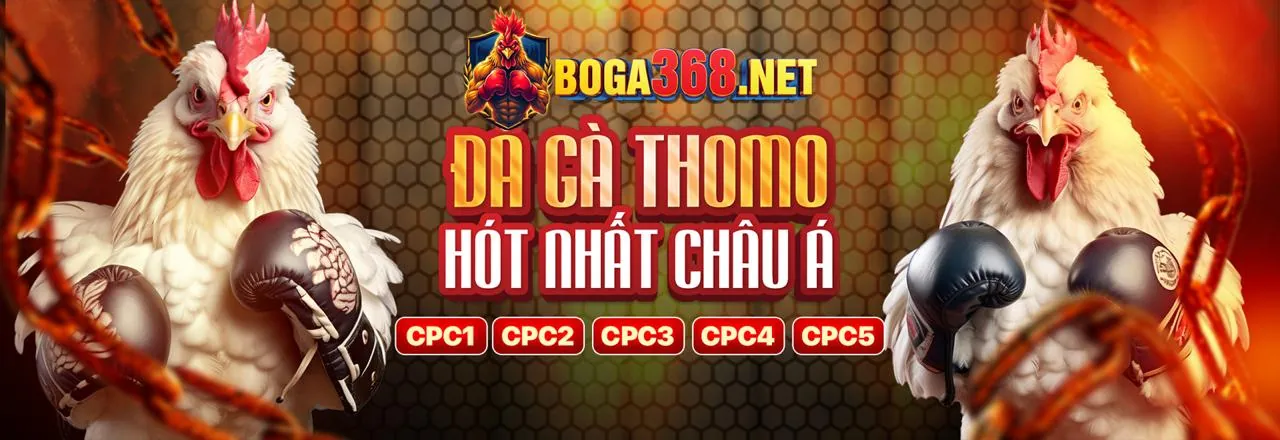 Ứng dụng keo nha cai bet 88 trên điện thoại
