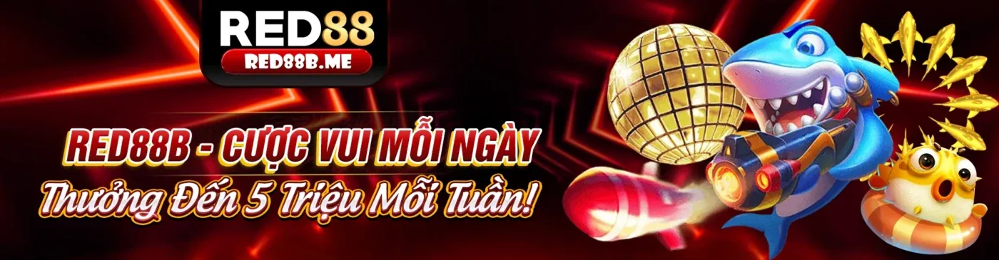 Hình ảnh giới thiệu Bet 88 Kèo Nhà Cái